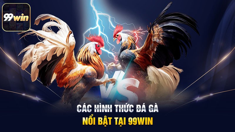 Các hình thức đá gà nổi bật tại 99win